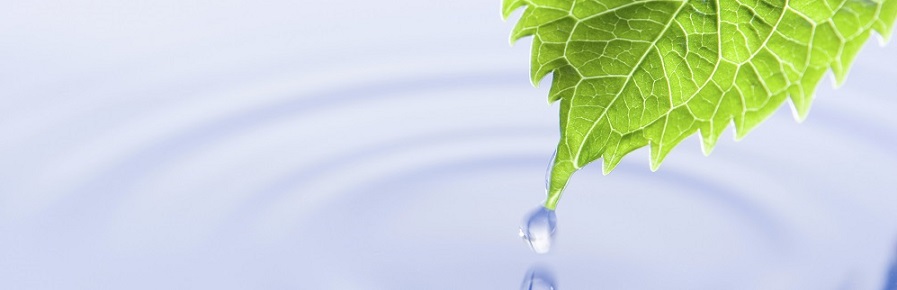 ELGA 可持续发展环境承诺