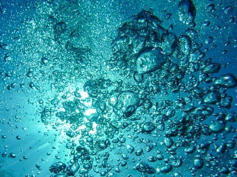 ELGA博客 纯化水中的溶解气体