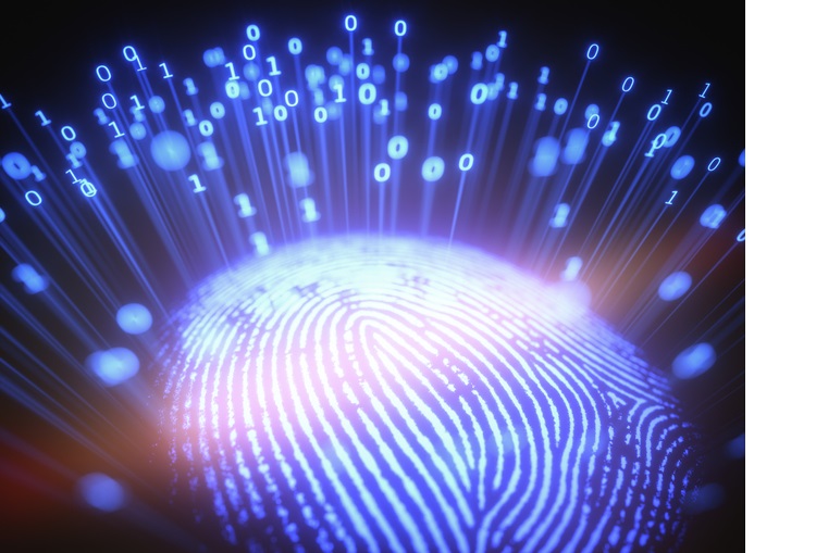 Fingerprint