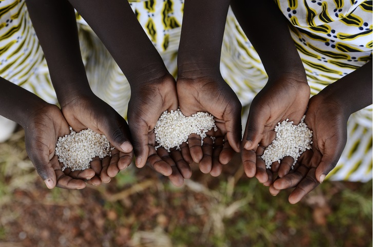 Children Holding Rice 